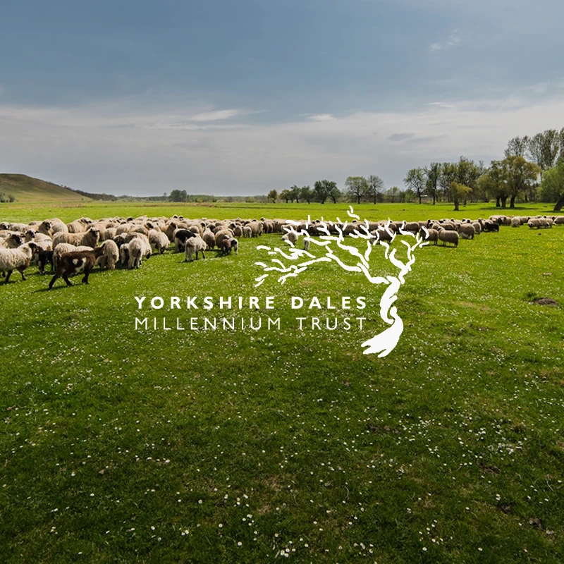 Yorkshire Dales Millennium Trust Logo