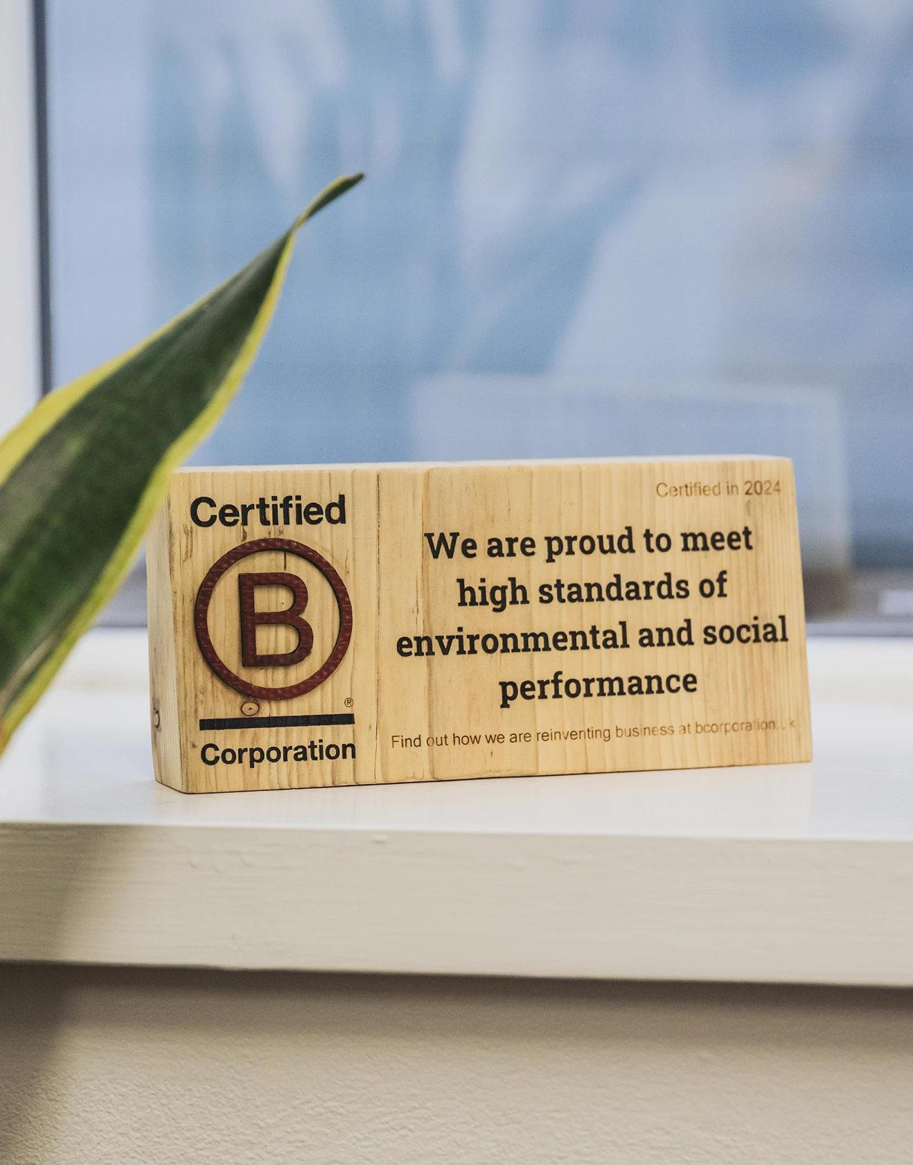 The Certified B Corporation plaque in the Few and Far office which is made out of wood